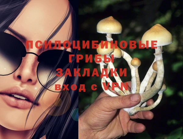СК Алексеевка