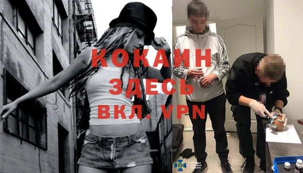 прущие грибы Пересвет