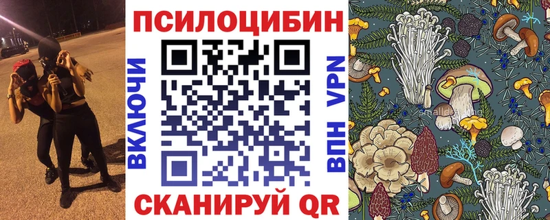 Псилоцибиновые грибы Psilocybine cubensis  mega ссылки  Анива 